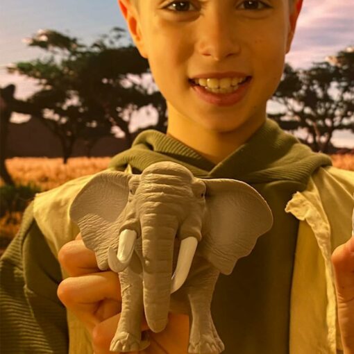 Animali predatori savana