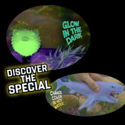 Animali marini sbabam