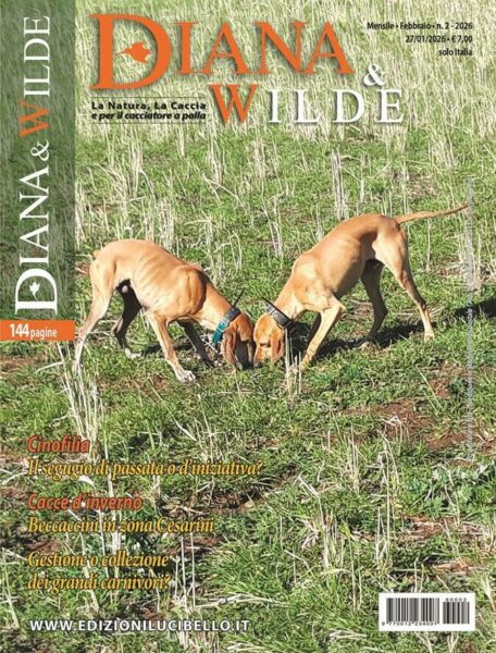 0012234_00_560314 0012234_00_560314