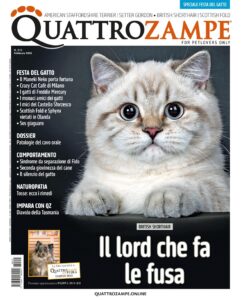 Quattro zampe