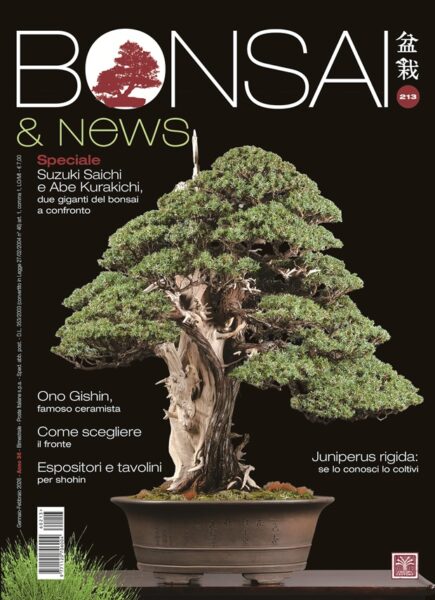 1120706_00_558552 1120706_00_558552