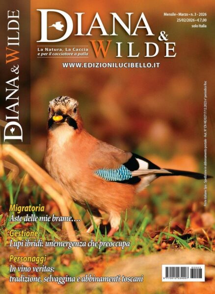 0012234_00_561775 0012234_00_561775