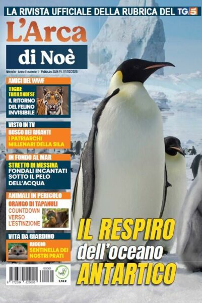 2384825_00_559672 2384825_00_559672