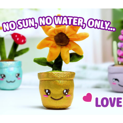 Peluche piante funny box