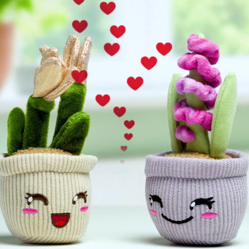 Peluche piante funny box